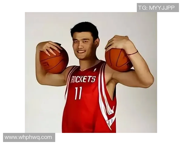 白岩松深度剖析姚明的篮球生涯与社会影响力的多重维度